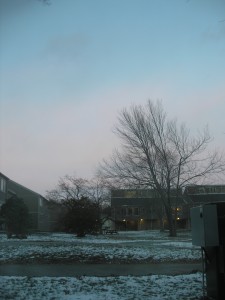 First snow! Some ground still visible, pale clear sky