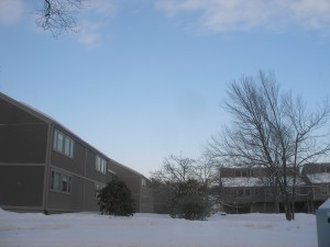 even in winter with the ground covered in snow, there are blue skies sometimes! 