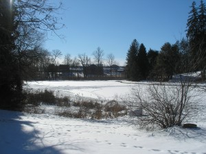 snow-covered lake, blue skies, sunshine