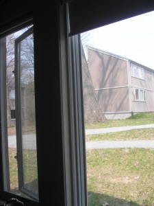 _a pair of windows with dark outlines, bright green and sunlight through the glass_