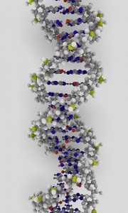 _dna strand (credit: ynse on flickr)_